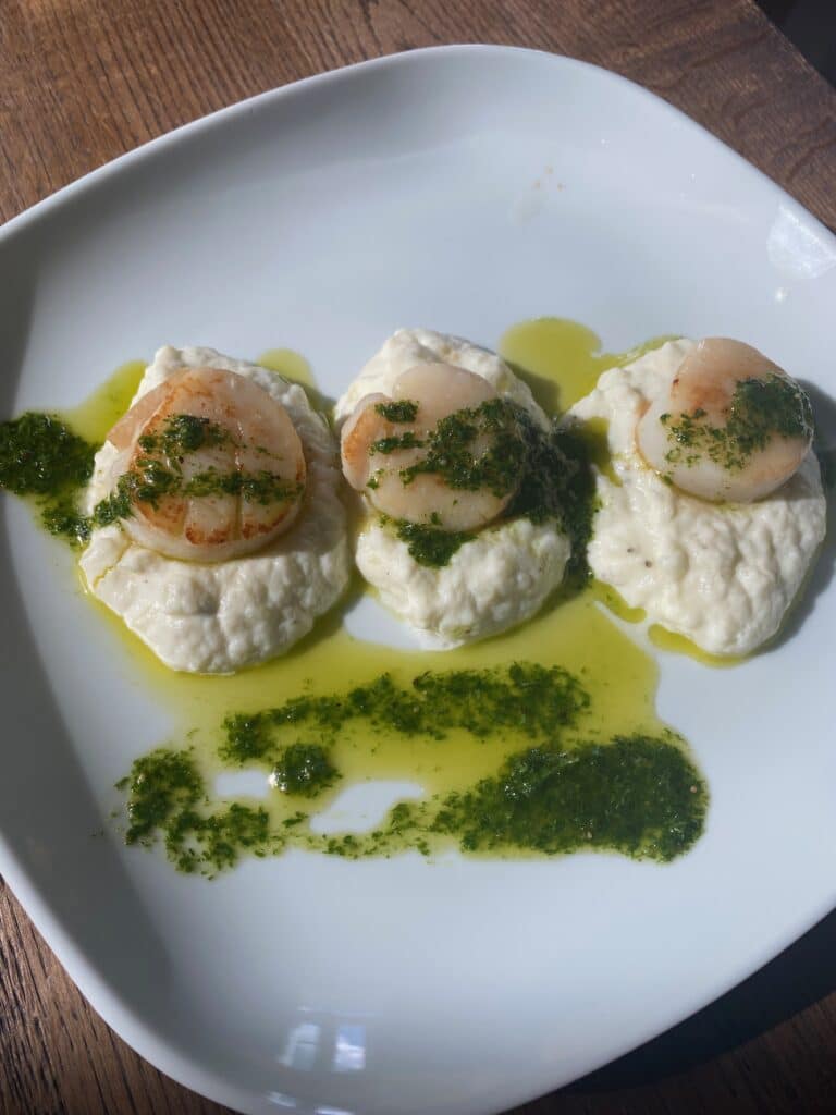 Kamskjell med blomkålsmos og urteolje