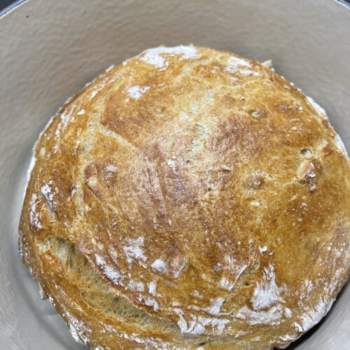 Eltefritt brød