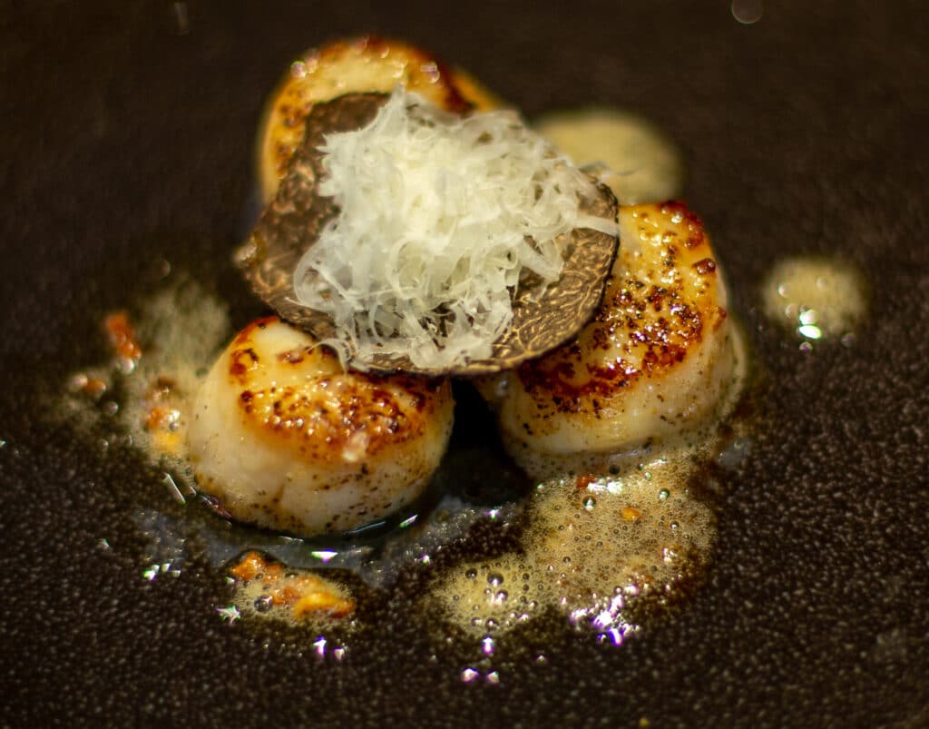 Kamskjell med trøffel og parmesan